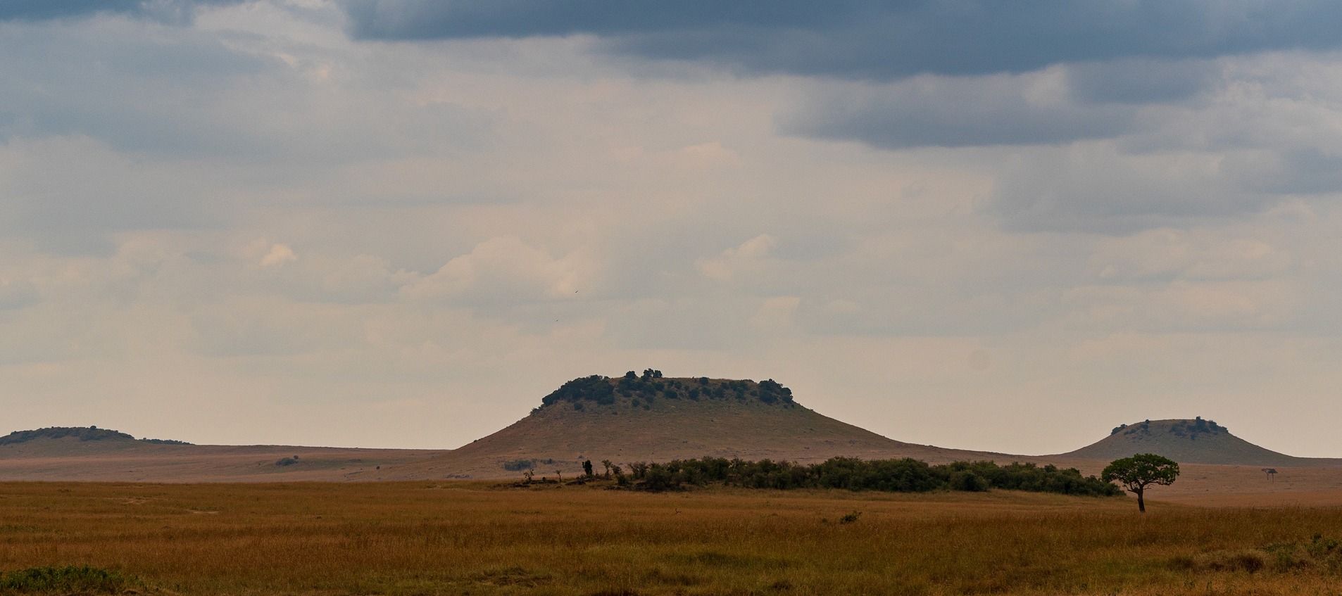 Tales of the Serengeti